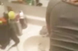 सीधे ठग के साथ चर्चा में कटौती स्ट्रोक बड़े एक्स एक्स एक्स वीडियो इंग्लिश फिल्म पैमाने पर मुर्गा और सह के