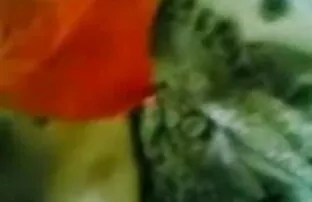 ActiveDuty Str8, समुद्री, बड़े मांसपेशियों के साथ बंद बीएफ सेक्सी फिल्म इंग्लिश में मरोड़ते