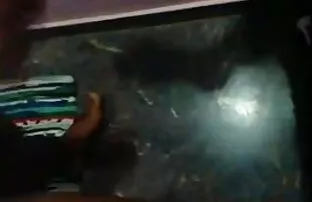 सींग का बना गोरा बेब उसे दो छेद एक्स सेक्सी पिक्चर इंग्लिश बकवास करने के लिए प्यार करता है