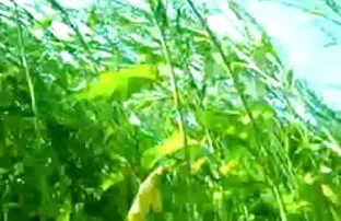 ल्यूक एडम्स अपने कठोर इंग्लिश फिल्म का सेक्सी वीडियो मांस सदस्य की सवारी है
